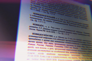 «Зум-секс-вечеринка», «ковид-хайпожор» и «тележка апокалипсиса». Петербургские ученые издали словарь эпохи COVID-19